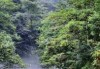 邛崃天台山旅游攻略，邛崃天台山旅游攻略门票