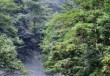 邛崃天台山旅游攻略，邛崃天台山旅游攻略门票