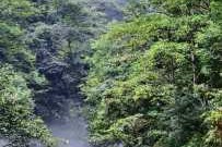 邛崃天台山旅游攻略，邛崃天台山旅游攻略门票