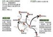 肯尼亚旅游安全吗，肯尼亚自驾游安全吗？