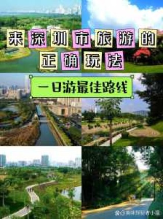 深圳一日游去哪里比较好，深圳一日游去哪里玩？