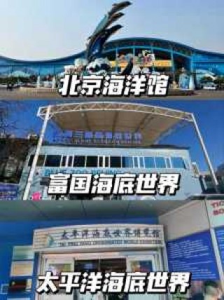 北京海底世界哪里比较好玩，北京海底世界那个比较好玩？