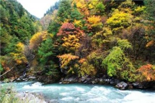 米亚罗风景区攻略？米亚罗景区在哪？
