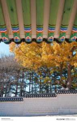 韩国风景最美的地方，韩国景色最美的城市？