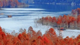 11月国内旅游的最佳地方，11月份国内旅游攻略
