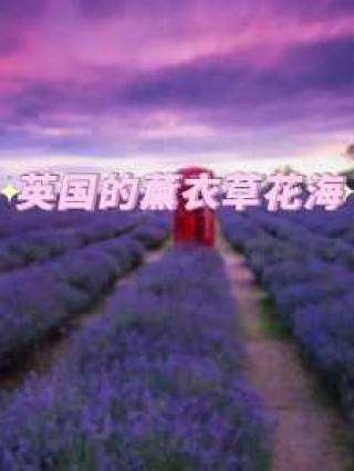 薰衣草庄园图片，薰衣草庄园图片欣赏？