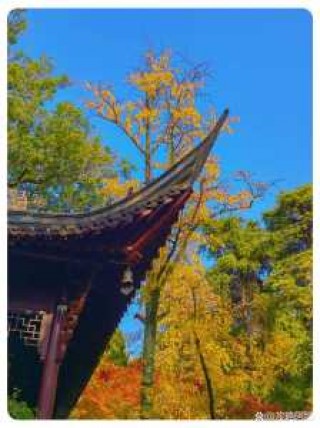 南京旅游景点有哪些好玩的地方，南京旅游值得去的景点