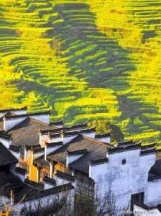 婺源必去的三个景点，婺源必去的三个景点门票费用