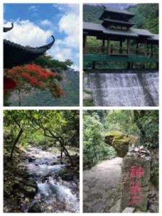 肇庆紫云谷旅游攻略，肇庆紫云谷旅游攻略大全？