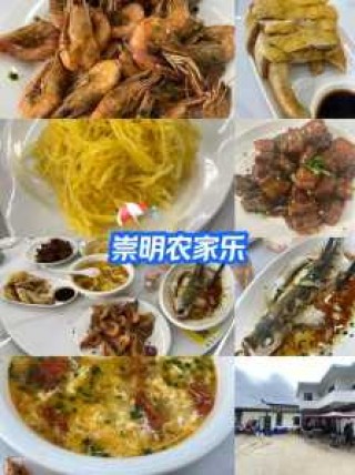 崇明岛旅游攻略农家乐，崇明岛性价比比较高的农家乐？