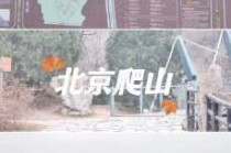 百望山森林公园，百望山森林公园简介