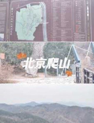 百望山森林公园，百望山森林公园简介