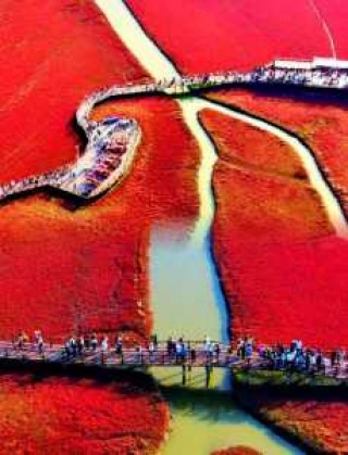 盘锦红海滩图片大全？盘锦红海滩的图片？