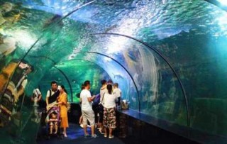 曲江海洋极地公园，曲江海洋极地公园门票