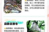 普洱旅游景点排名，普洱旅游推荐