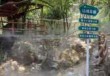 清远旅游景点大全自驾车旅游，清远旅游景点大全自驾车旅游路线？