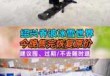 绍兴滑雪场游玩攻略，绍兴有滑冰场吗