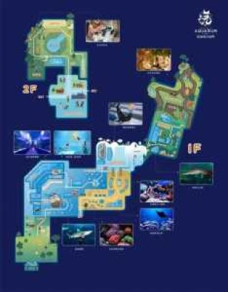 北海海底世界门票？北海海底世界门票费用本地人？