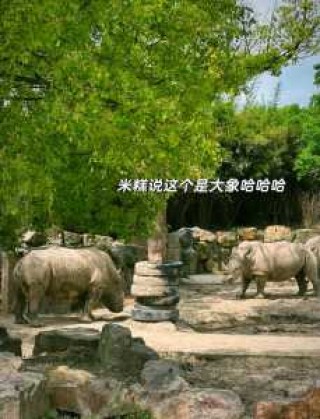 上海野生动物园需要预约吗，上海野生动物园要预约吗 2020？