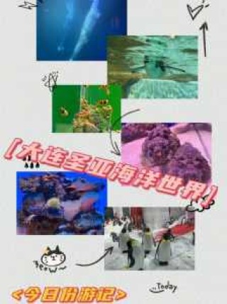 老虎滩和圣亚哪个好，老虎滩和圣亚哪个好玩