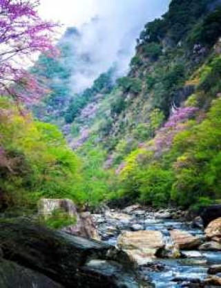 唐家河自然保护区，唐家河自然保护区是几A