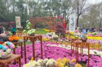 沈阳世博园内景点介绍，沈阳世博园内景点介绍图？