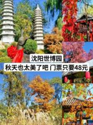 沈阳世博园门票多少钱，沈阳世博园门票多少钱60岁免费？