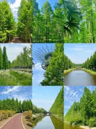 五一假期适合去哪旅游，五一假期适合去哪旅游一日游？