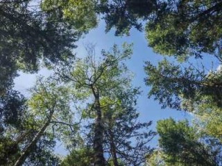 伊春旅游攻略自助游，伊春旅游攻略自助游费用？