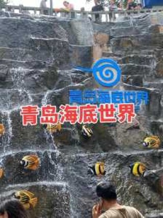 青岛极地海洋馆，海洋极地海洋世界门票