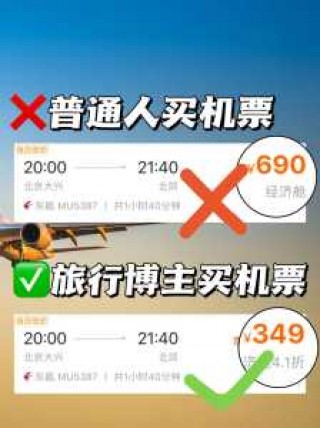 天巡网订机票官方网站首页，天巡网是哪个国家的