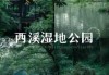 杭州西溪湿地公园好玩吗，杭州西溪湿地公园好玩吗?