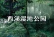 杭州西溪湿地公园好玩吗，杭州西溪湿地公园好玩吗?