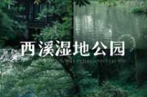 杭州西溪湿地公园好玩吗，杭州西溪湿地公园好玩吗?
