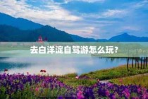 白洋淀自驾游路线，自驾去白洋淀去哪玩？