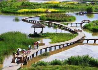 崇明岛自驾一日游攻略？崇明岛自驾一日游攻略路线？
