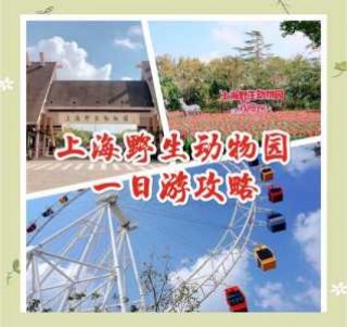 上海野生动物园图片？上海野生动物园图片高清大图大全集？