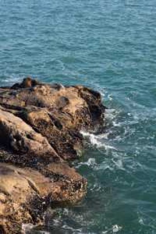 连云港不收费的海滩，连云港哪个海滩是免费游玩的
