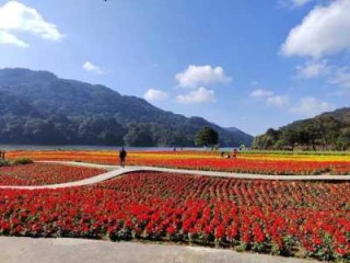 从化旅游景点一日游，从化旅游景点攻略