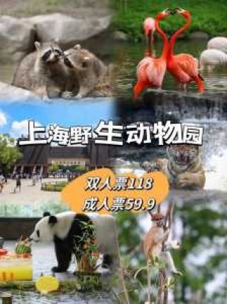 上海动物园门票费用，上海动物园门票费用表？