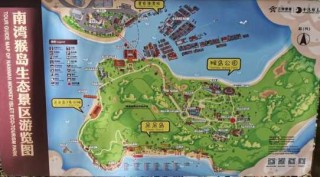 三亚南湾猴岛简介，三亚的南湾猴岛