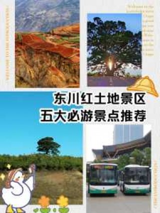 东川红土地最佳路线？东川红土地自驾游摄影详细攻略？