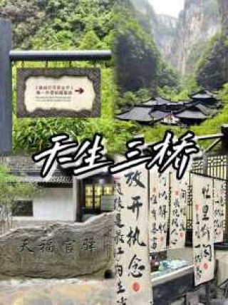 仙女山旅游攻略夏季，仙女山景区路线？