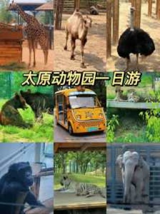 太原动物园现在能去吗，太原动物园现在能去吗有疫情吗？