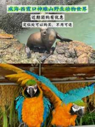 神雕山野生动物园门票？神雕山野生动物园门票599？
