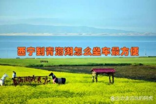 西宁到青海湖怎么坐车，西宁到青海湖怎么坐车多少钱