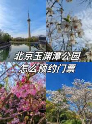 北京玉渊潭公园门票预约，北京玉渊潭公园门票需要预约吗
