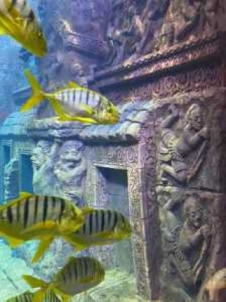北海海底世界门票？北海海底世界门票费用本地人？