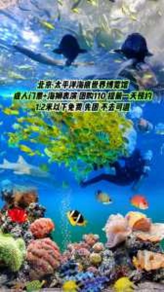 太平洋海底世界营业时间？太平洋海底世界营业时间2024？