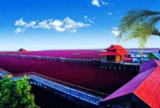 盘锦红海滩景区，盘锦红海滩景区门票免票政策？